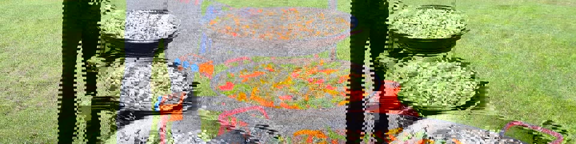 'What's On' at the Pavilion Bisley